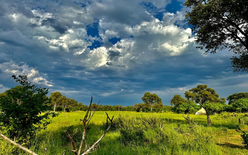 10 Day Chobe, Delta & Kalahari Safari Feline Lodges